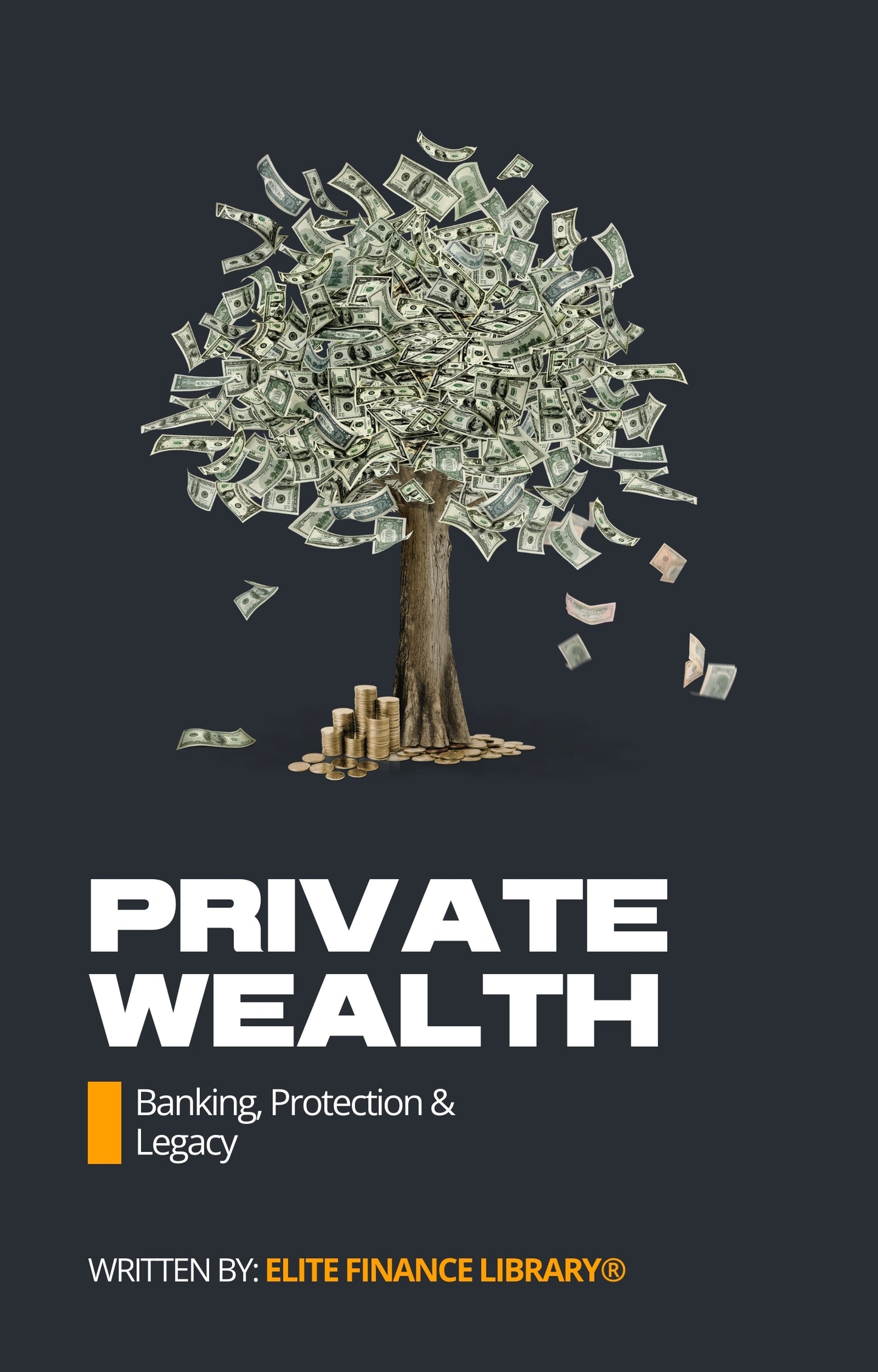 Private Wealth: Banking, Protection & Legacy